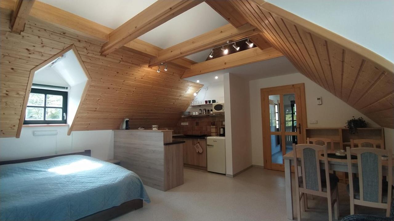 Hofberg Apartman Nové Hamry エクステリア 写真